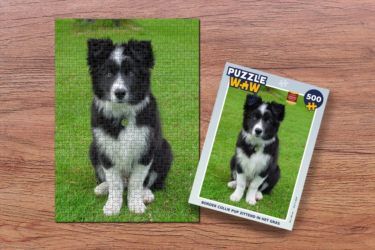 PuzzleWow Border Collie Pup Legpuzzel 500 Stuks - Multicolor