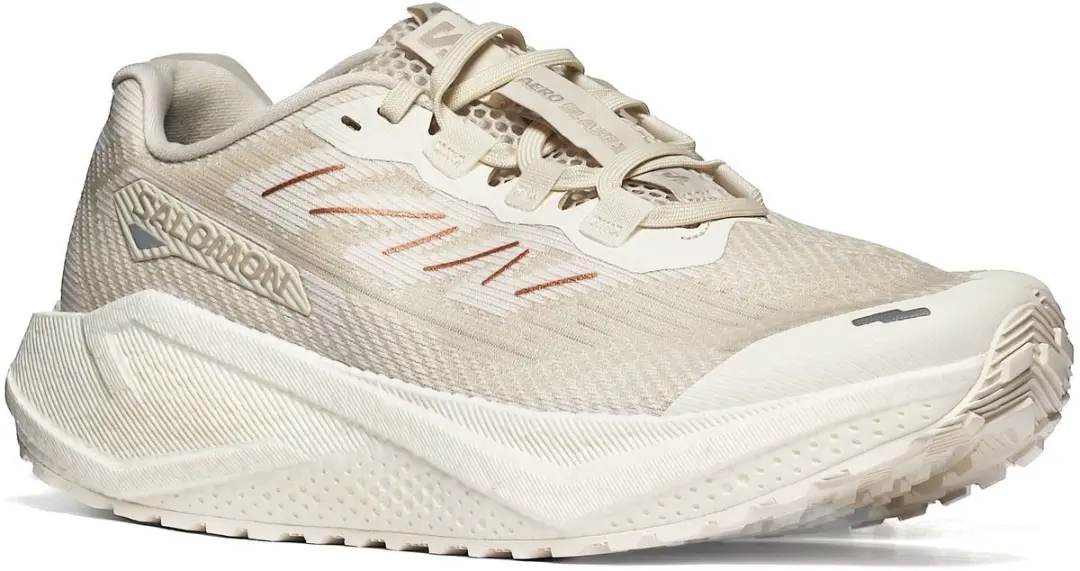 Sportieve Salomon AERO BLAZE 3 GRVL W 40 Dames