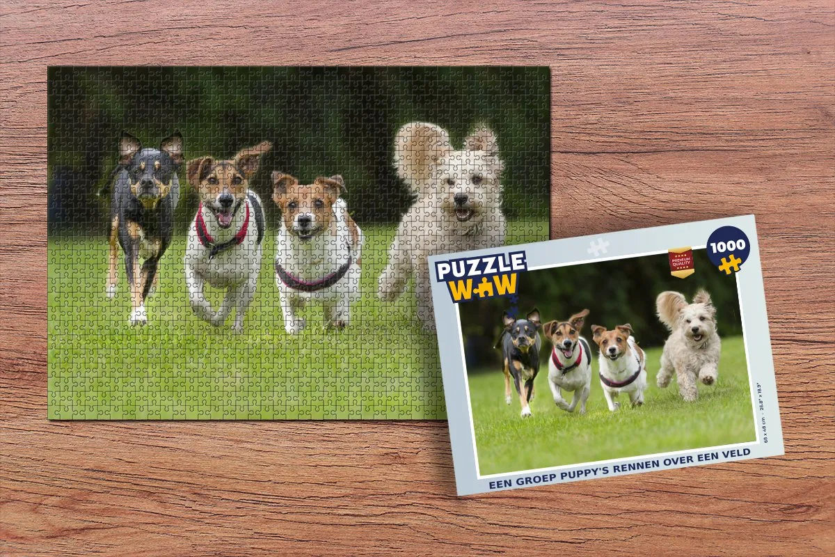PuzzleWow Legpuzzel 1000 Stuks Multicolor