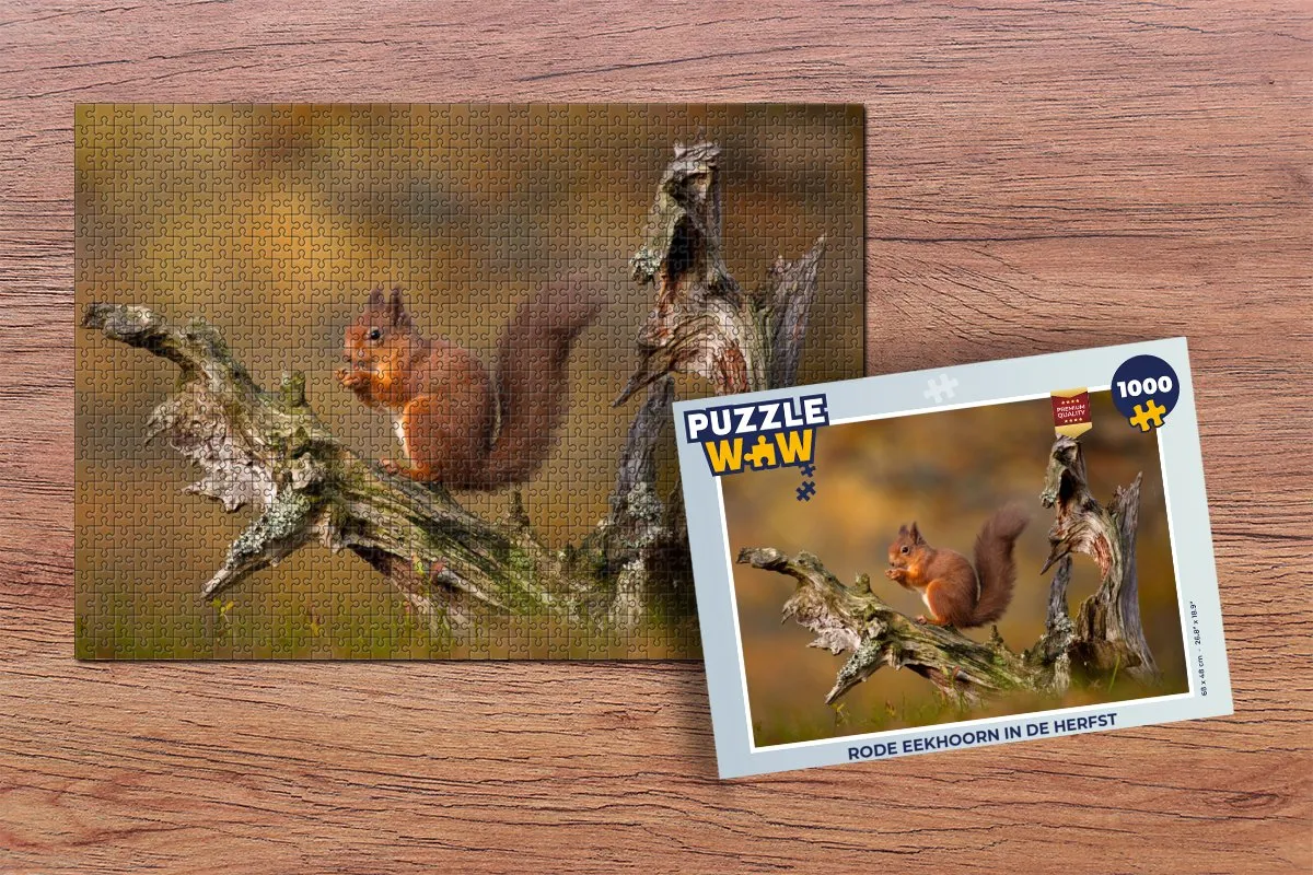 PuzzleWow Legpuzzel Rode Eekhoorn Herfst 1000 Stuks - Multicolor