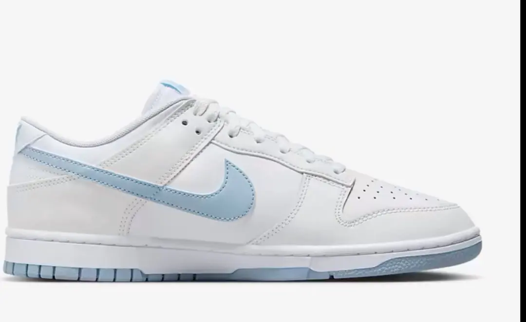 Nike Dunk Low Retro