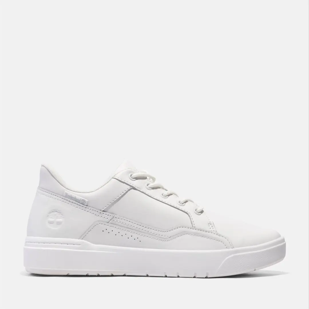 Timberland Allston Low