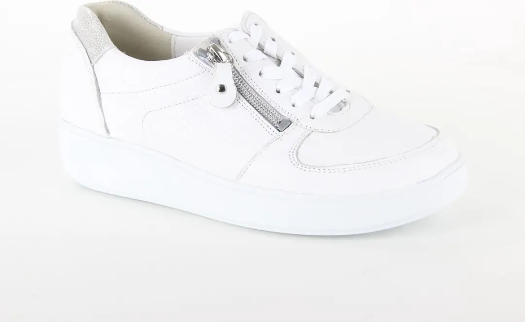 Waldlaufer