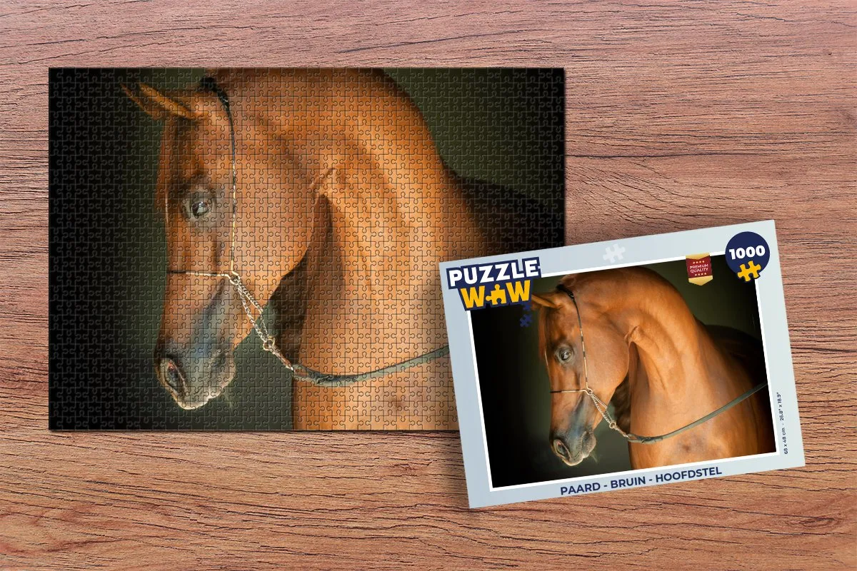 PuzzleWow Paard Hoofdstel Legpuzzel 1000 Stuks - Multicolor