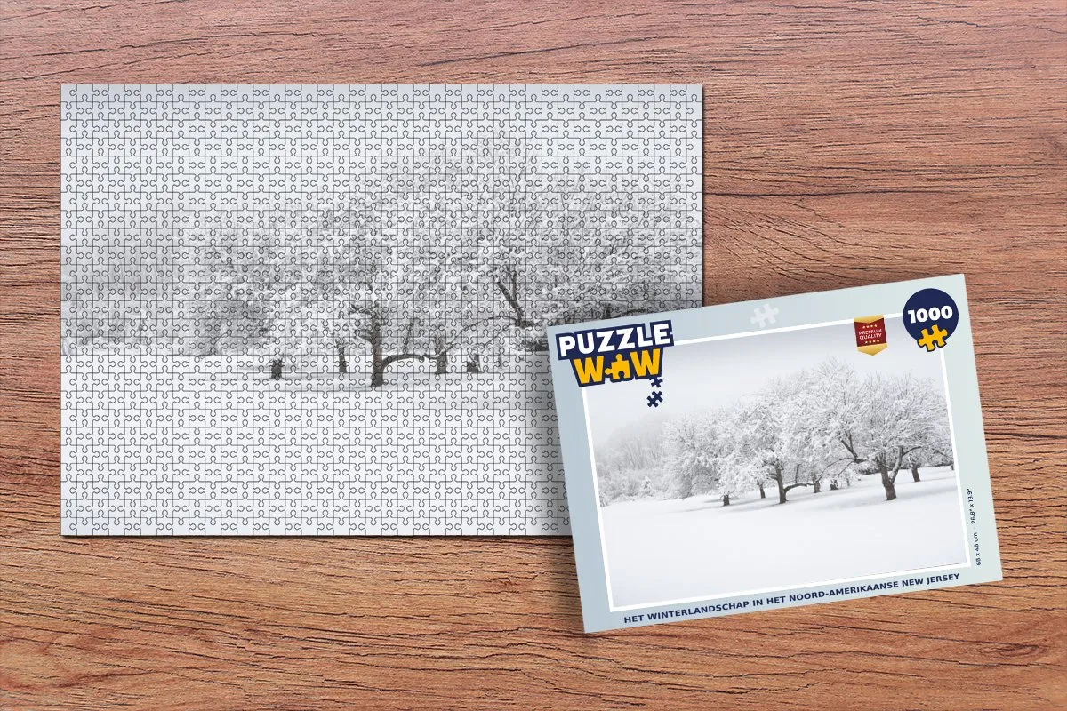 PuzzleWow Legpuzzel 1000 Stuks - Winterlandschap New Jersey - Multicolor