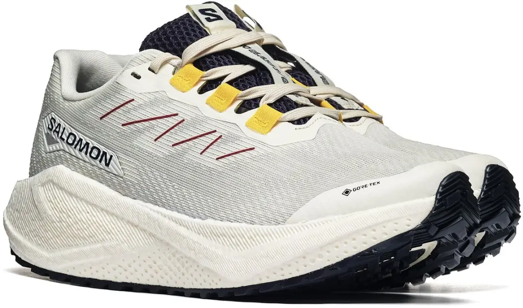 Sportieve Salomon AERO BLAZE 3 GRVL GTX W 38 2/3 Dames