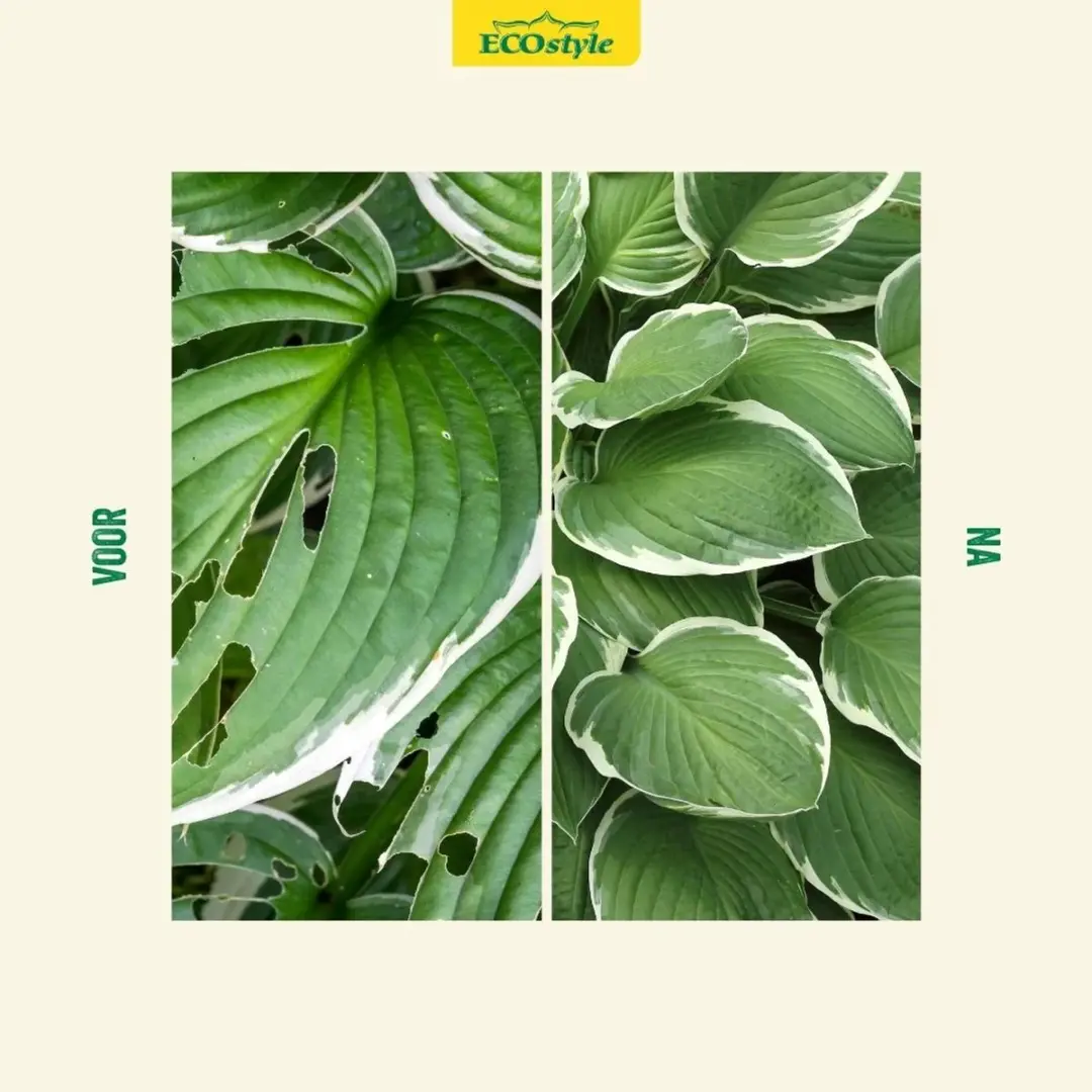 ECOstyle Escar-Go Slakkenkorrels 1kg - 400m² - afbeelding 6 van 6