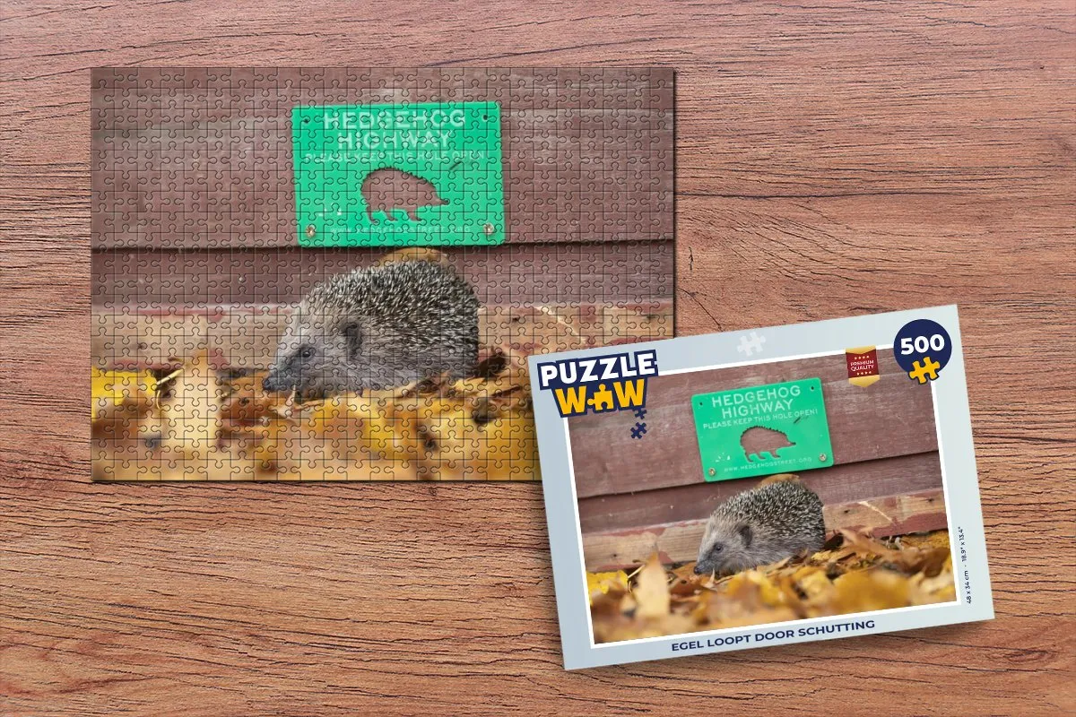 PuzzleWow Puzzel Egel loopt door schutting Legpuzzel 500 Stuks - Multicolor