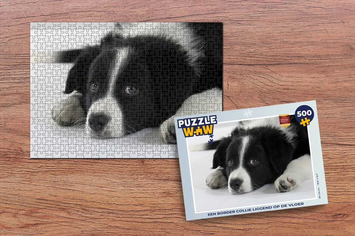 PuzzleWow Border Collie Legpuzzel 500 Stuks - Multicolor