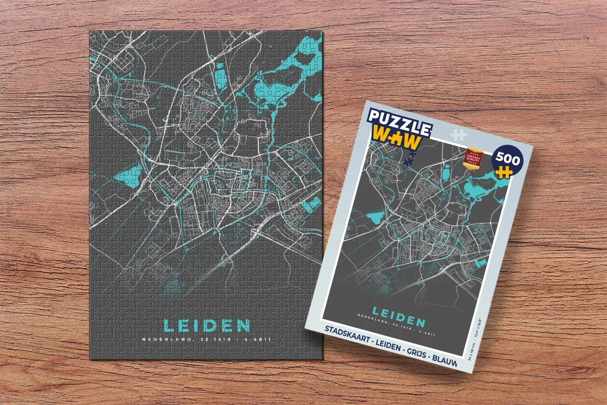 PuzzleWow Leiden Legpuzzel 500 Stuks - Multicolor