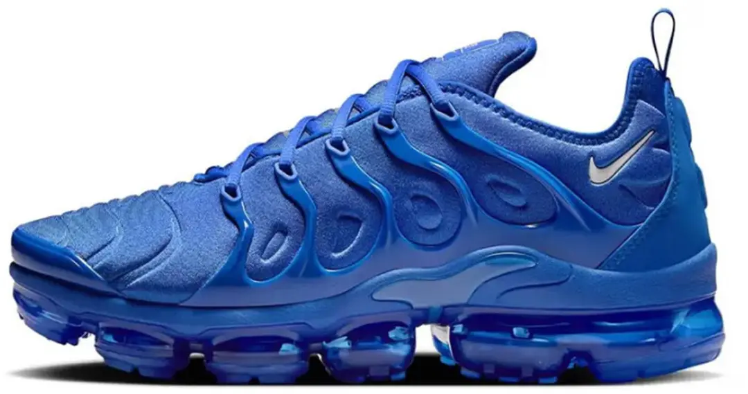 Nike Air VaporMax Plus 'Game Royal Metallic Silver'