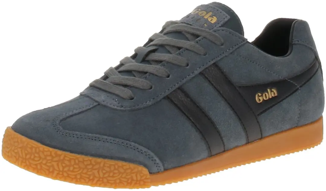 Gola Harrier