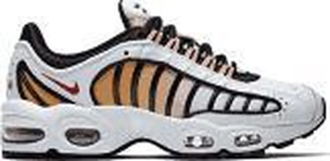 Nike W Nike Air Max Tailwind IV