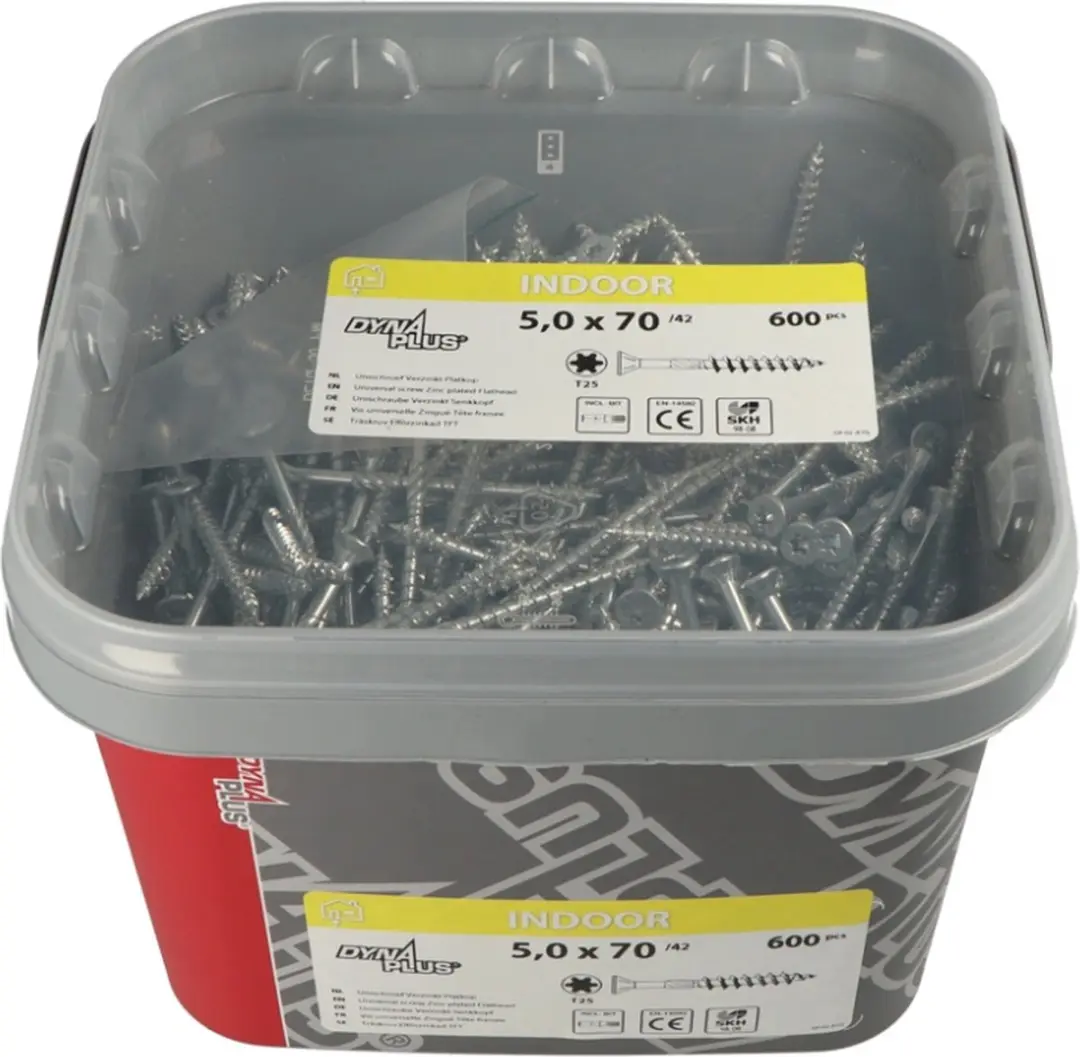 Dynaplus Unischroeven Torx 25 Platkop 5x120mm/70