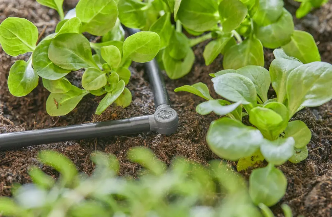 Gardena Micro-Drip 13212-20 L-stuk 4,6mm - 25 Planten - afbeelding 5 van 6