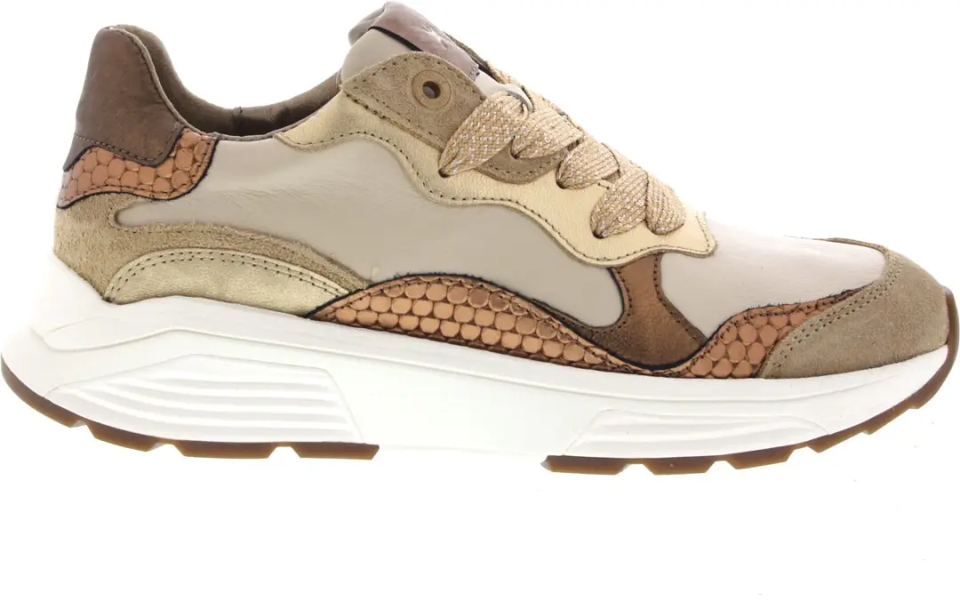 Dames Veterschoenen Xsensible Rainbow Camel Combigx Beige