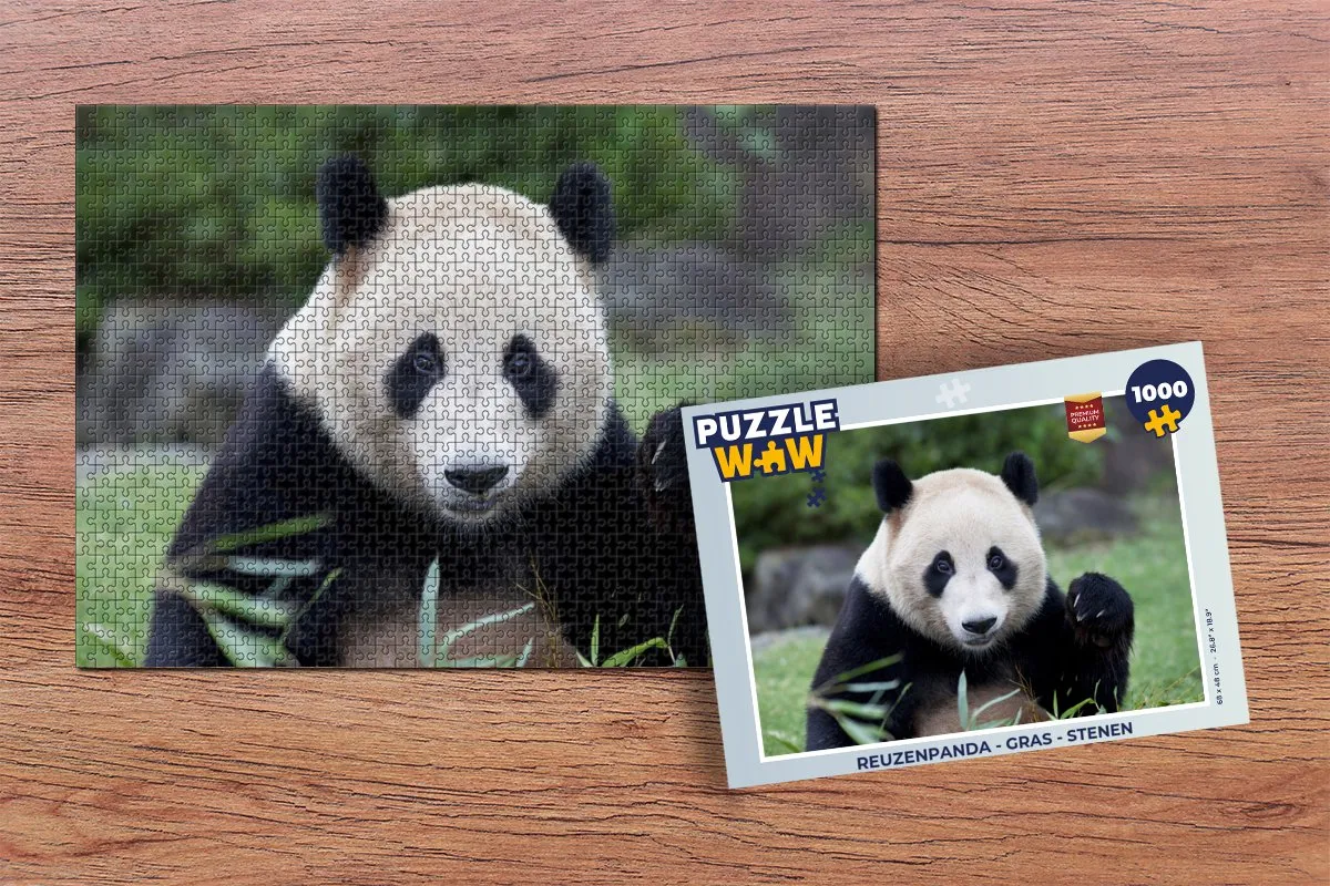 PuzzleWow Reuzenpanda Legpuzzel 1000 Stuks - Multicolor