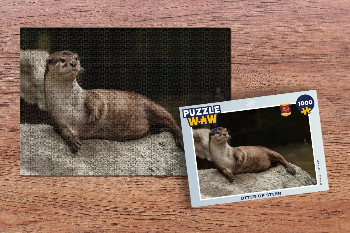 PuzzleWow Legpuzzel Otter op steen 1000 Stuks - Multicolor