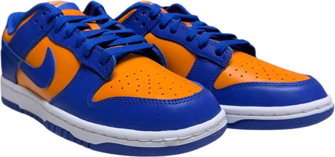 Nike Dunk Low RETRO