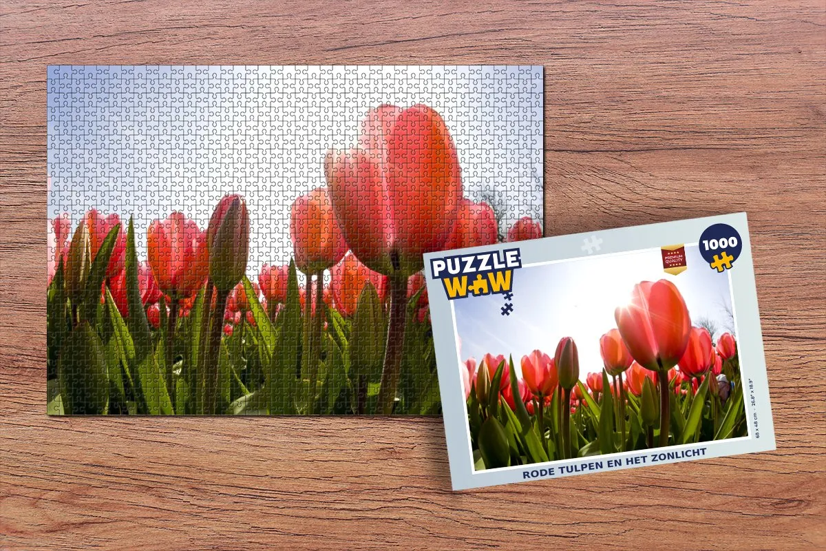 PuzzleWow Legpuzzel Rode tulpen en het zonlicht 1000 Stuks - Multicolor