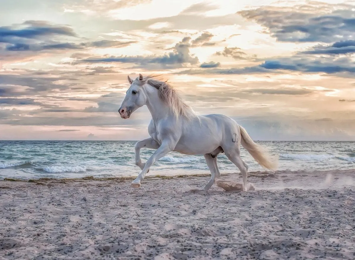 Ravensburger Paard op het Strand Legpuzzel 500 Stuks - 165865