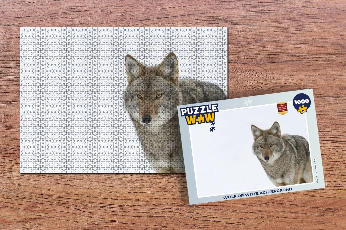 PuzzleWow Legpuzzel 1000 Stuks Multicolor