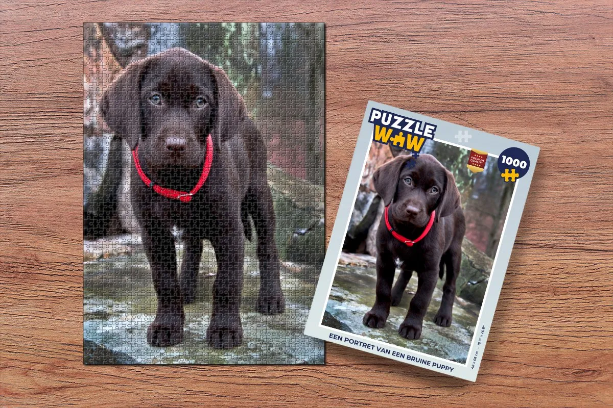 PuzzleWow Legpuzzel Een portret van een bruine puppy 1000 Stuks - Multicolor