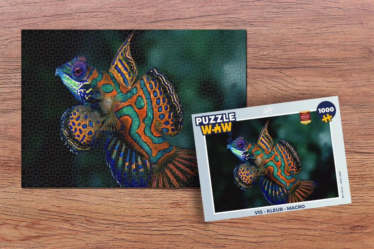 PuzzleWow Vis Macro Legpuzzel 1000 Stuks - Multicolor