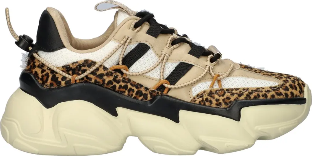 Steve Madden Spectator-L dames sneaker