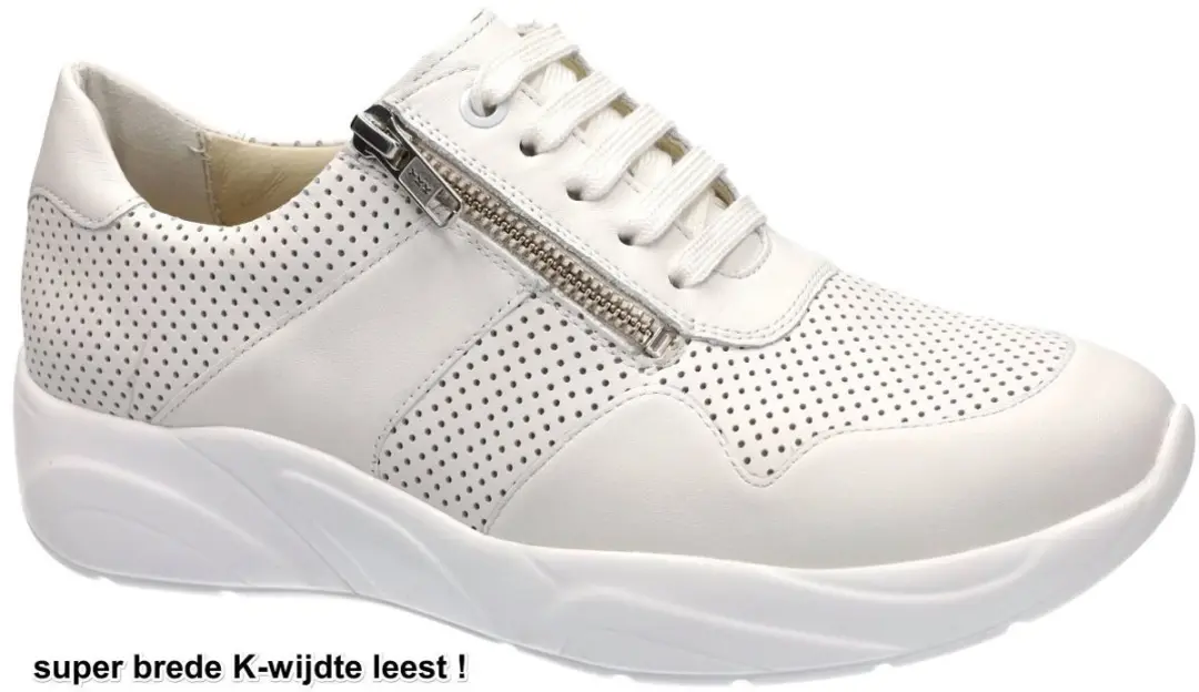 Solidus -Dames