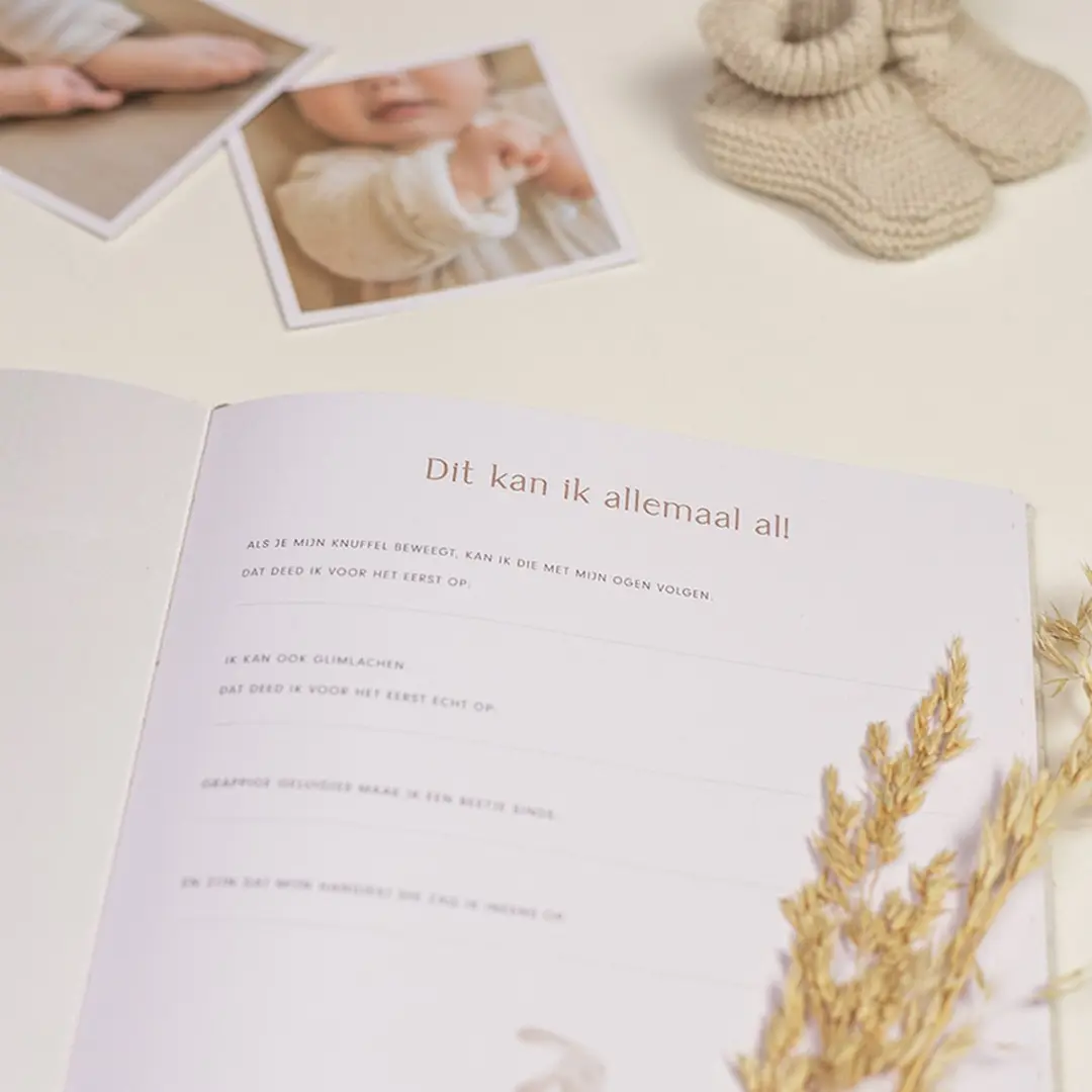 Little Dutch Babyboek Mijn Eerste Jaar Baby Bunny - 94 Pagina's