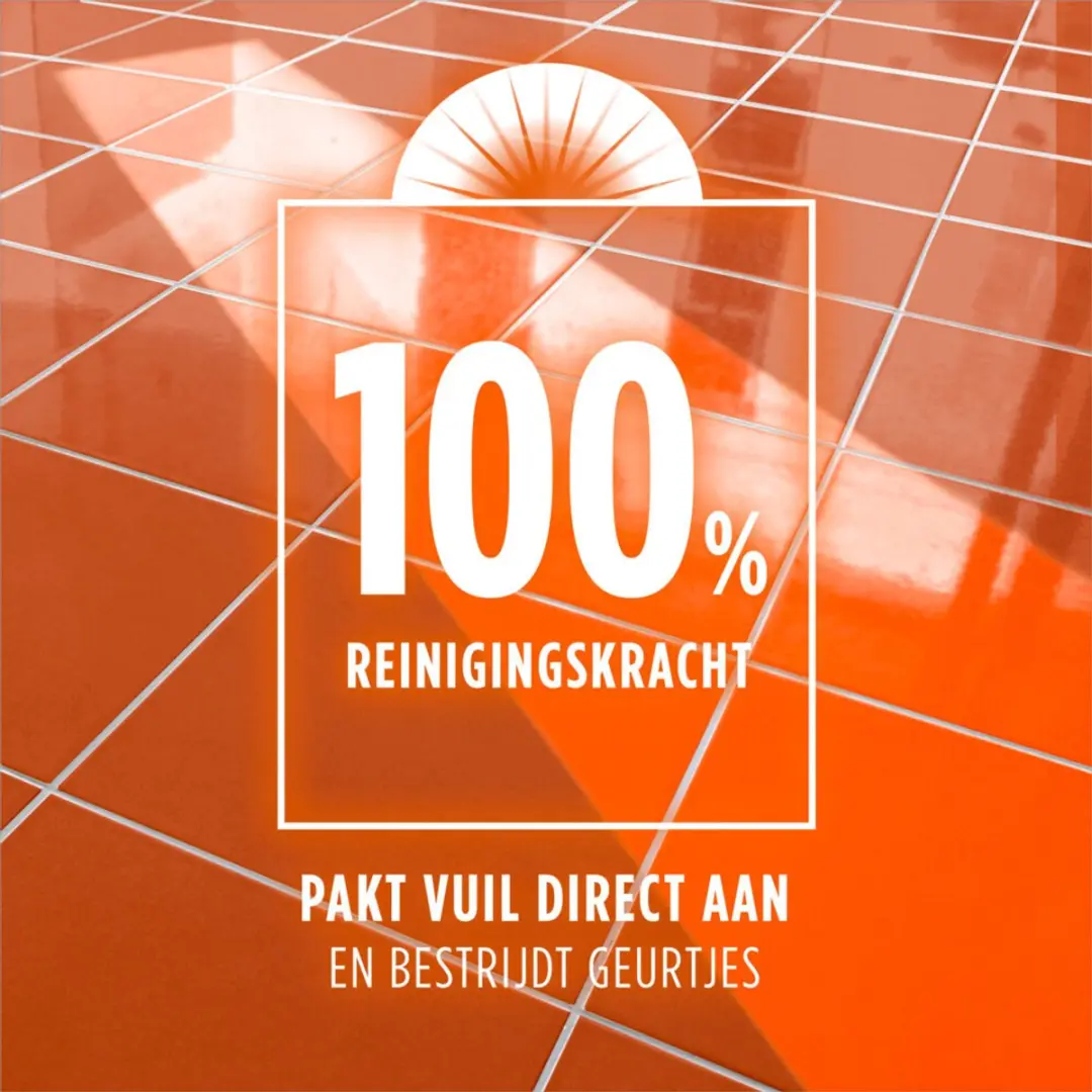 Ajax Allesreiniger Fête Des Fleurs Peach 1L - afbeelding 3 van 5