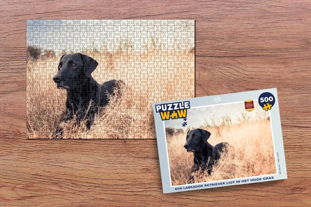 PuzzleWow Labrador Retriever Legpuzzel 500 Stuks - Multicolor