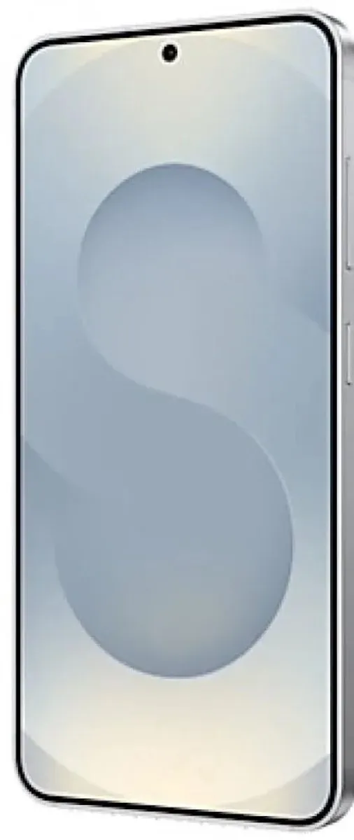 Samsung Galaxy S25 SM-S931BZSDEEB - 128GB - Zilver