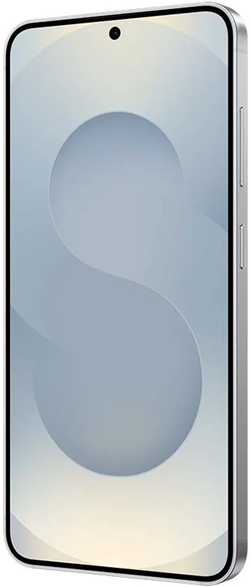 Samsung Galaxy S25 SM-S931BZSDEEB - 128GB - Zilver