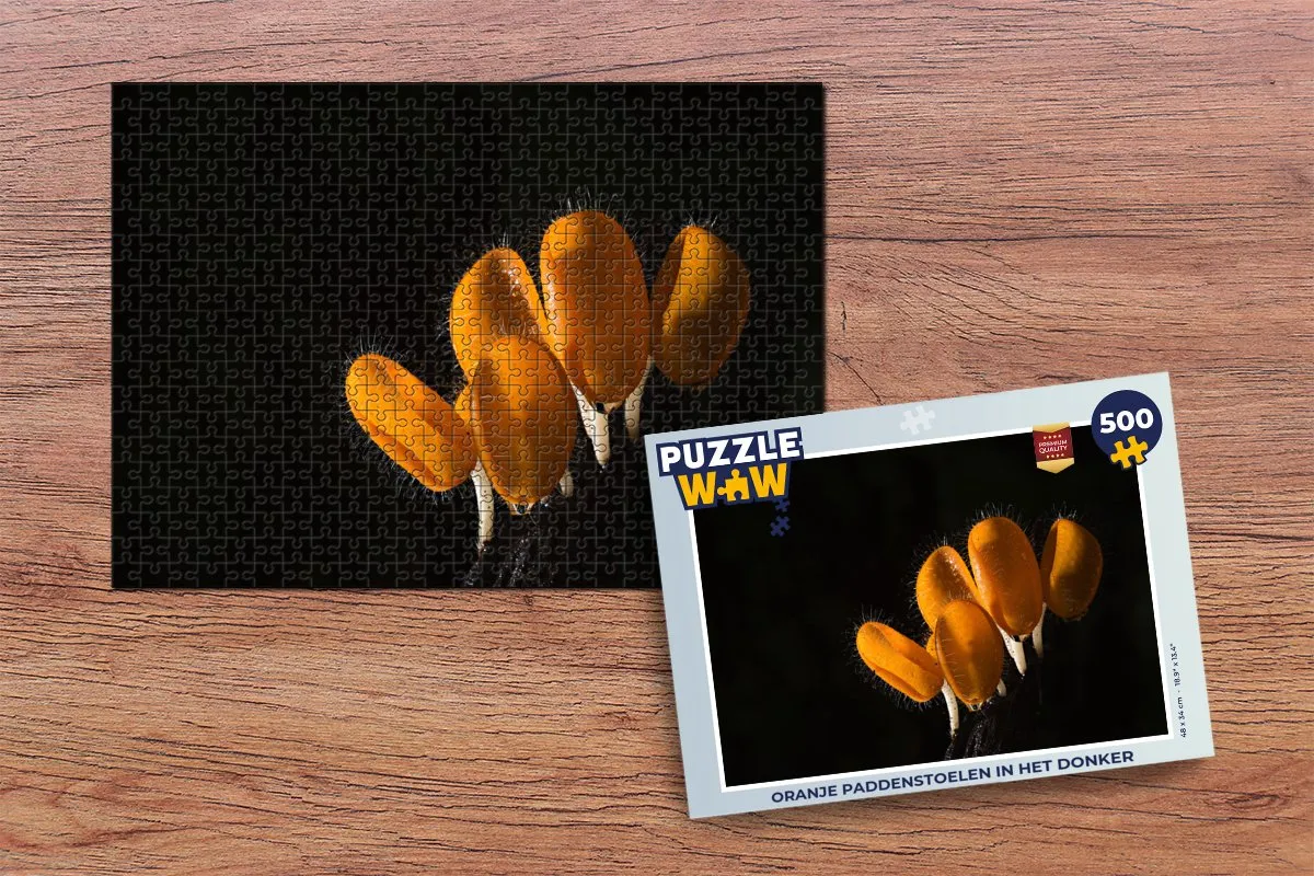 PuzzleWow Legpuzzel Oranje paddenstoelen in het donker 500 Stuks - Multicolor