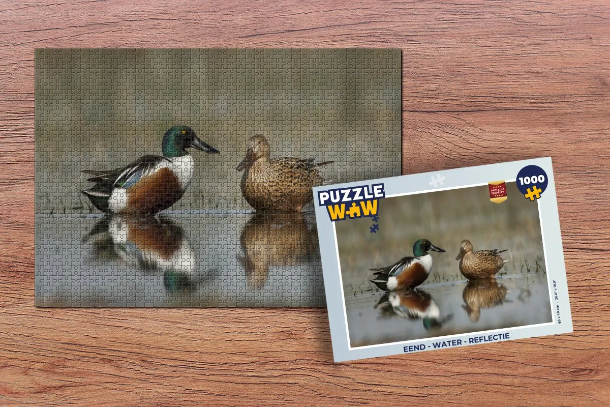 PuzzleWow Water Reflectie Legpuzzel 1000 Stuks - Multicolor
