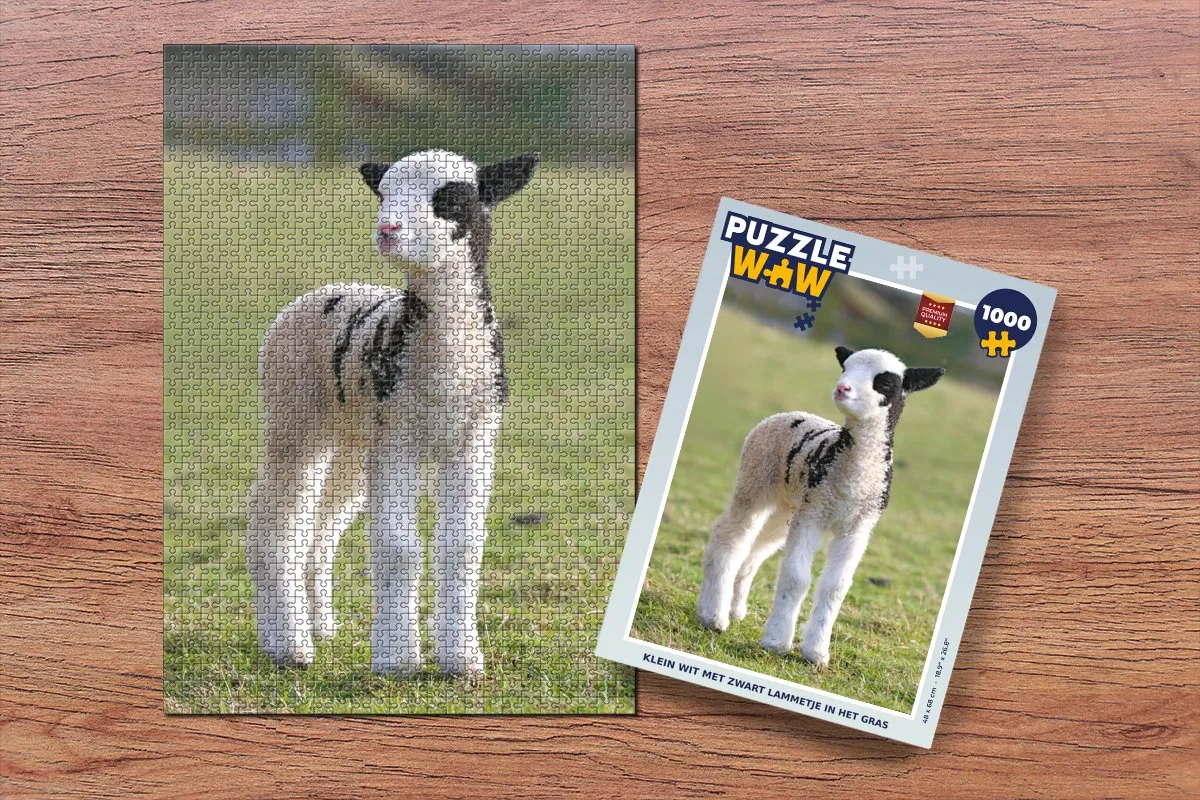 PuzzleWow Legpuzzel 1000 Stuks - Lammetje in het Gras - Multicolor