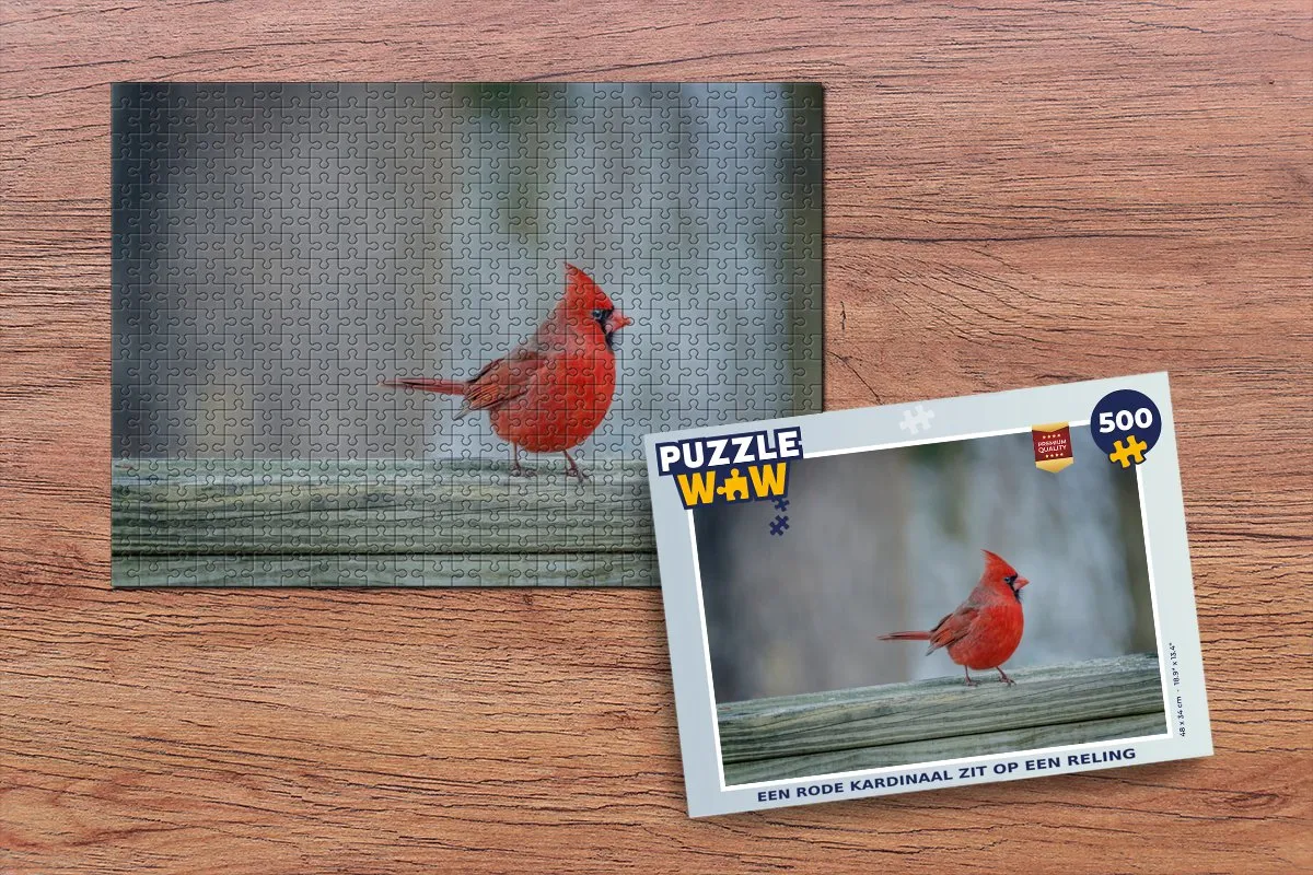 PuzzleWow Legpuzzel Rode Kardinaal 500 Stuks - Multicolor