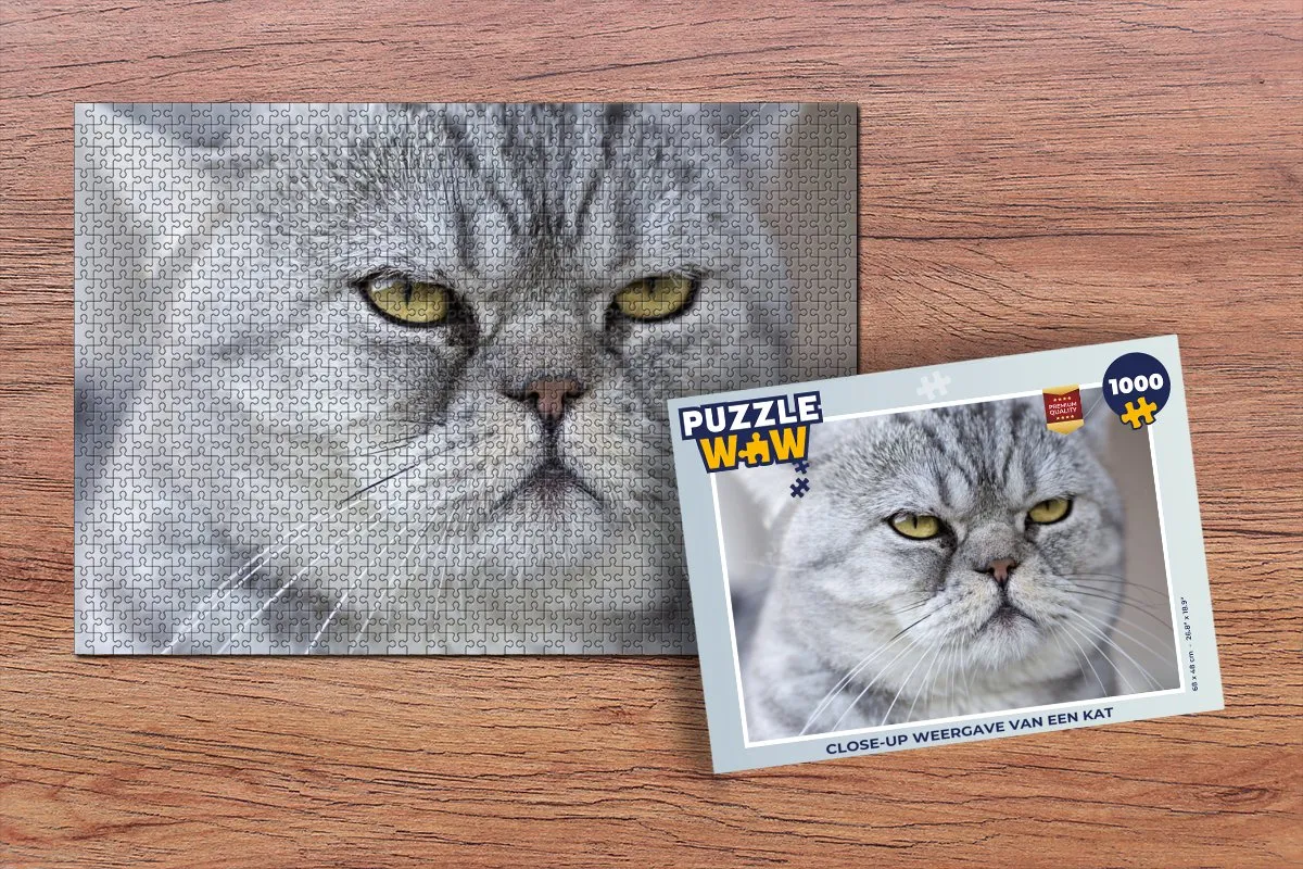 PuzzleWow Kat Legpuzzel 1000 Stuks - Multicolor