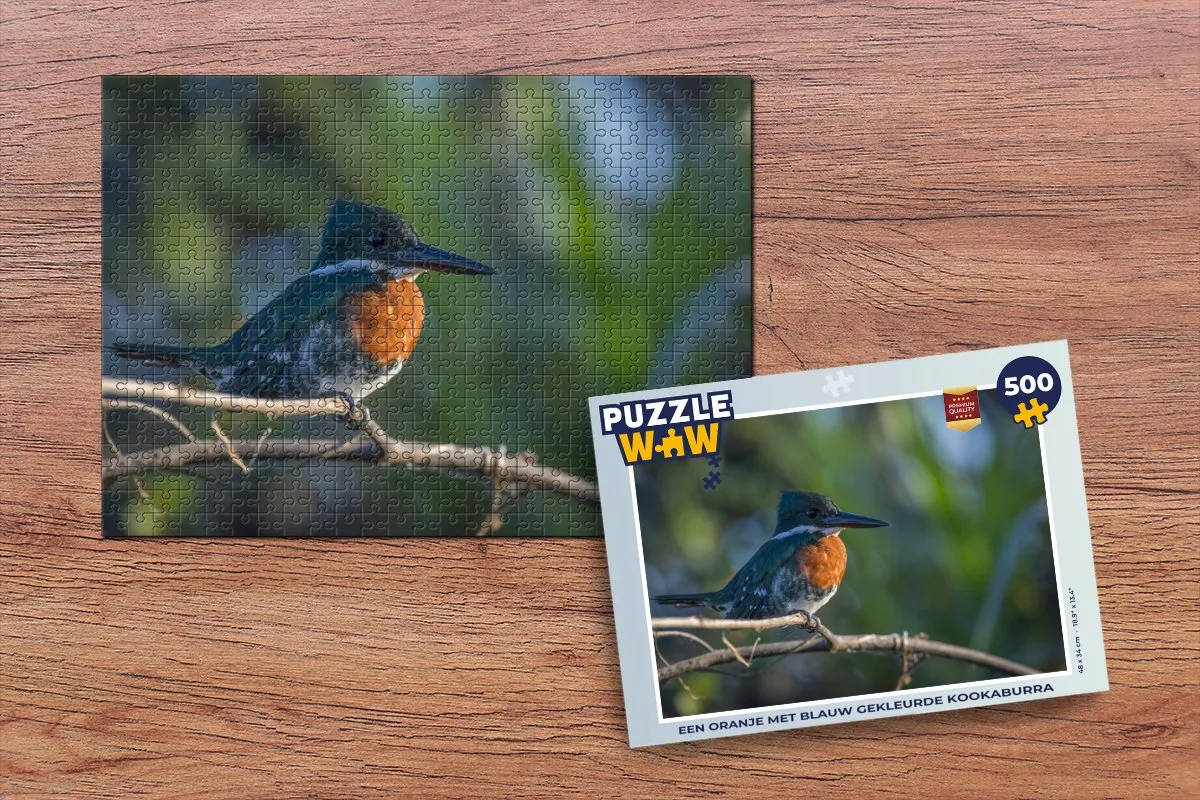 PuzzleWow Kookaburra Legpuzzel 500 Stuks - Multicolor