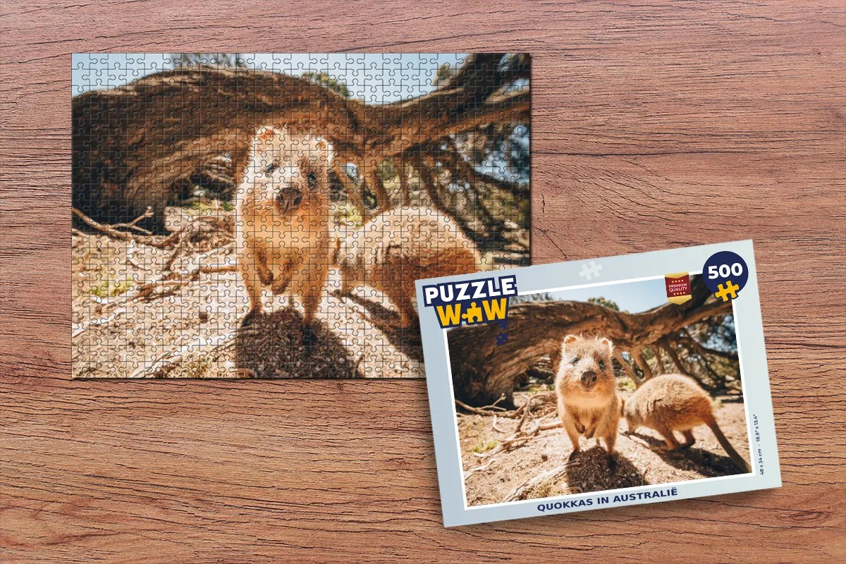 PuzzleWow Quokkas in Australië Legpuzzel 500 Stuks - Multicolor