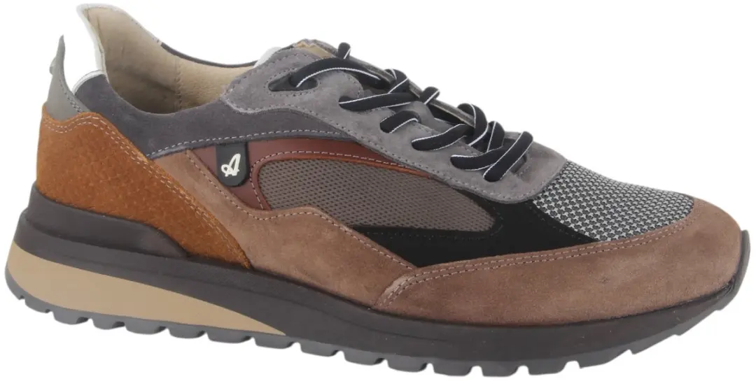 Australian Sparrow Sneakers