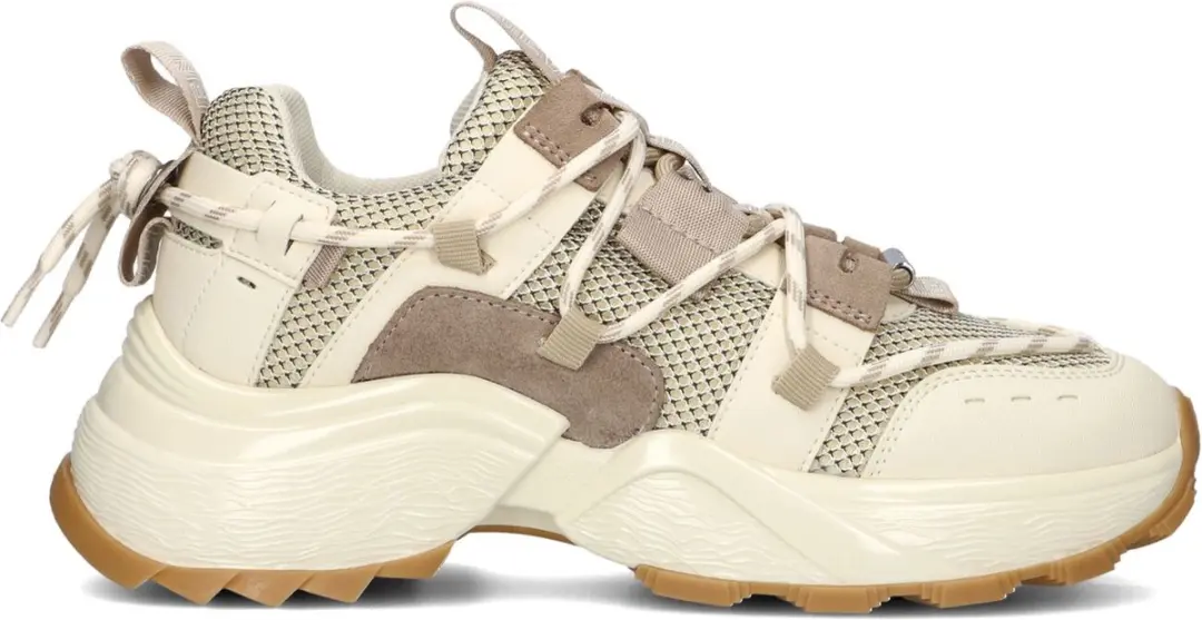 Steve Madden Tazmania Lage sneakers
