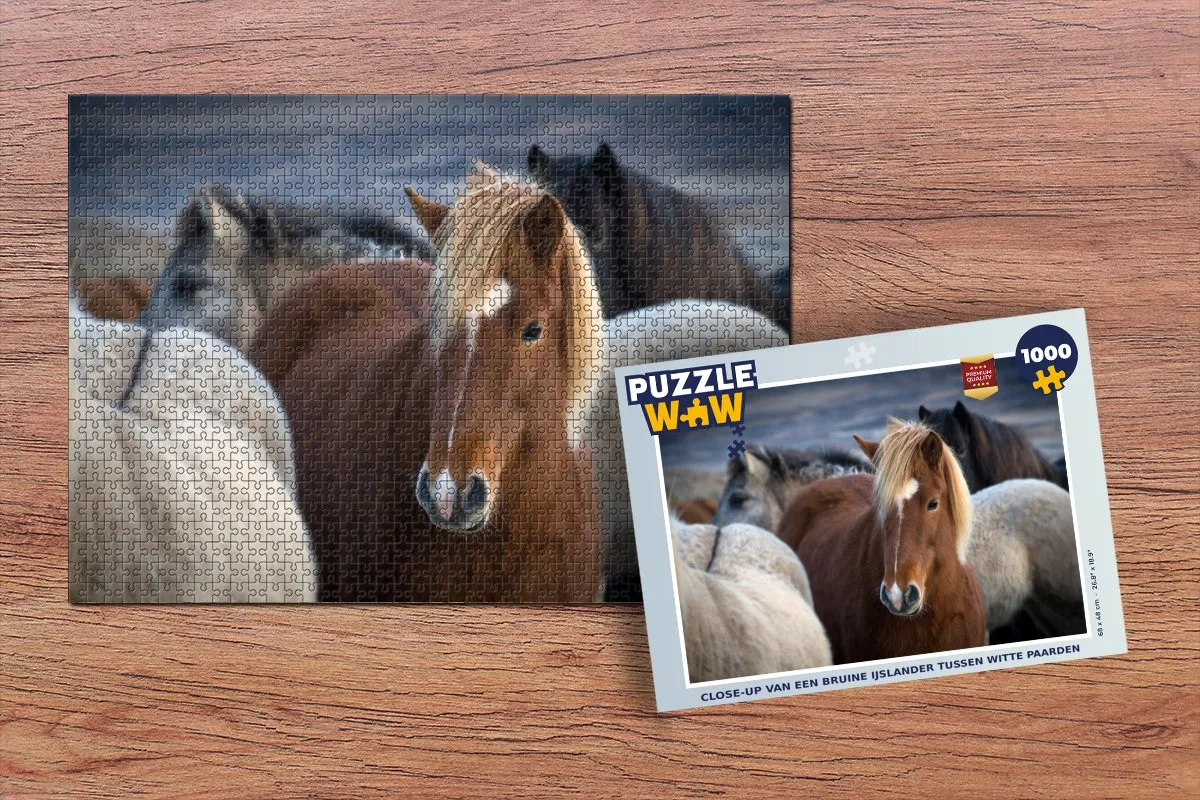 PuzzleWow Legpuzzel 1000 Stuks - IJslander Multicolor