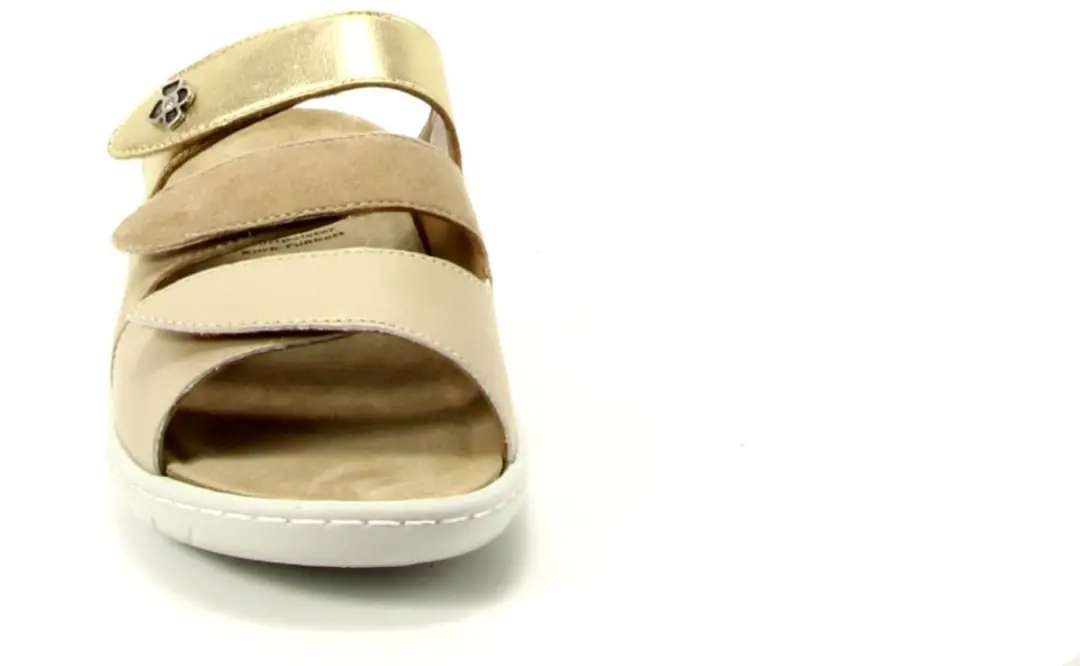 Solidus Wellness Spezial Slides 37 - Champagne