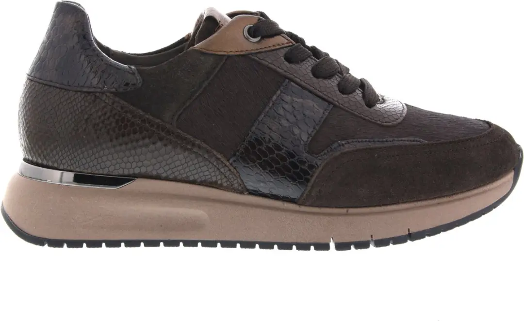 Dames Sneakers Gabor 6022.01.006 Donkerbruin