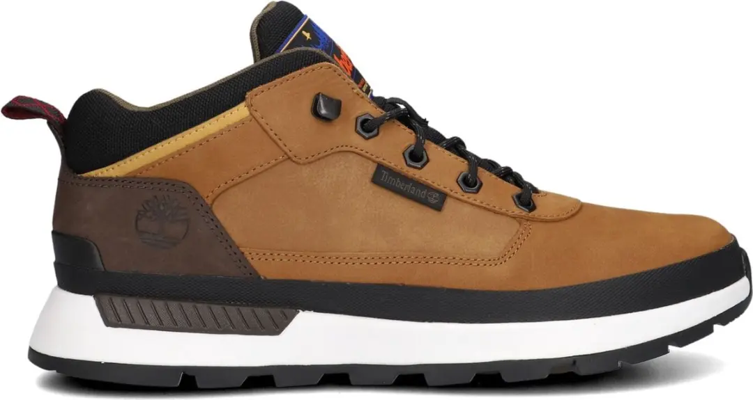 Timberland Field Trekker Low Lace Up Sneakers