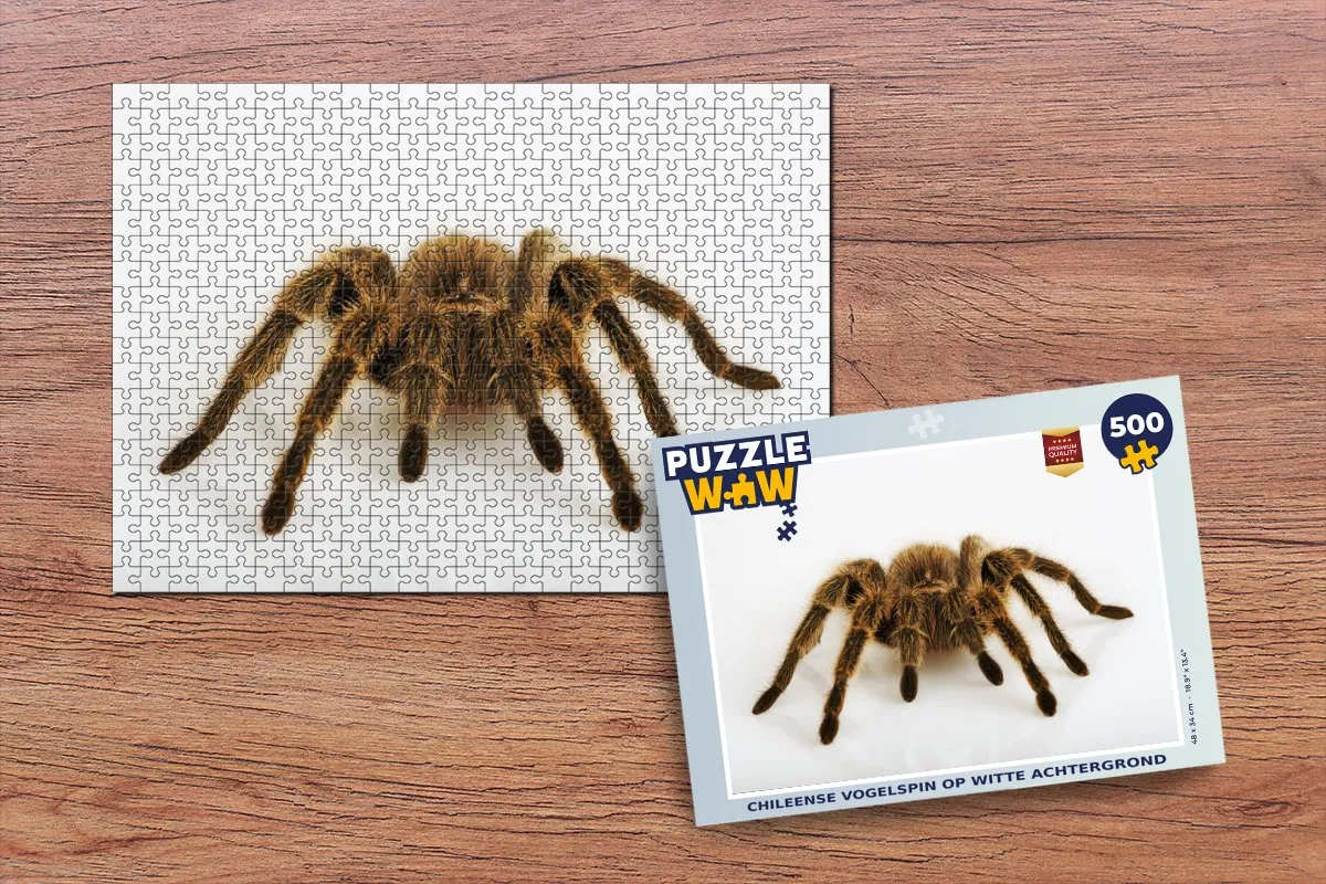 PuzzleWow Chileense Vogelspin Legpuzzel 500 Stuks - Multicolor