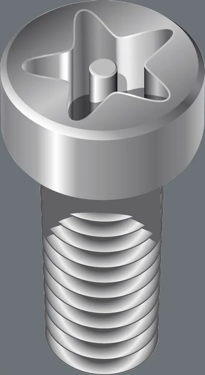 Wera 1/4 torx plus ipr bit